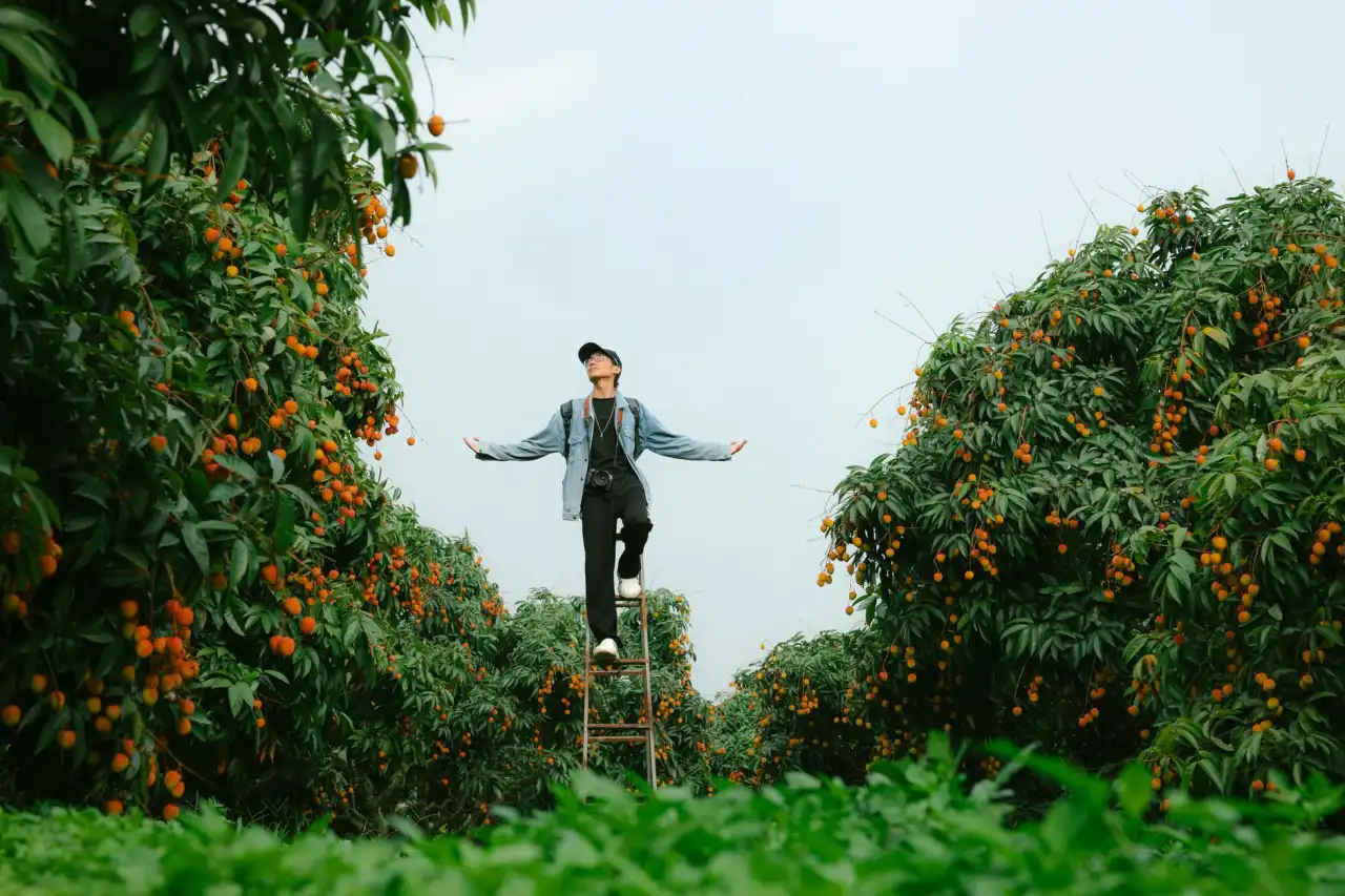 项目孵化与商业运营协同模式：成长型企业价值增长策略