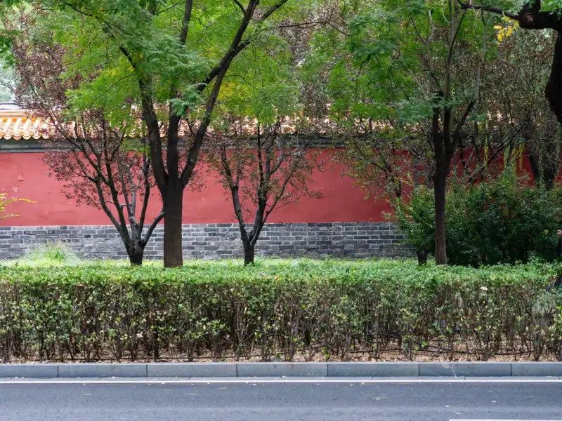 2025年实业投资政策导向与成长型企业资金配置策略