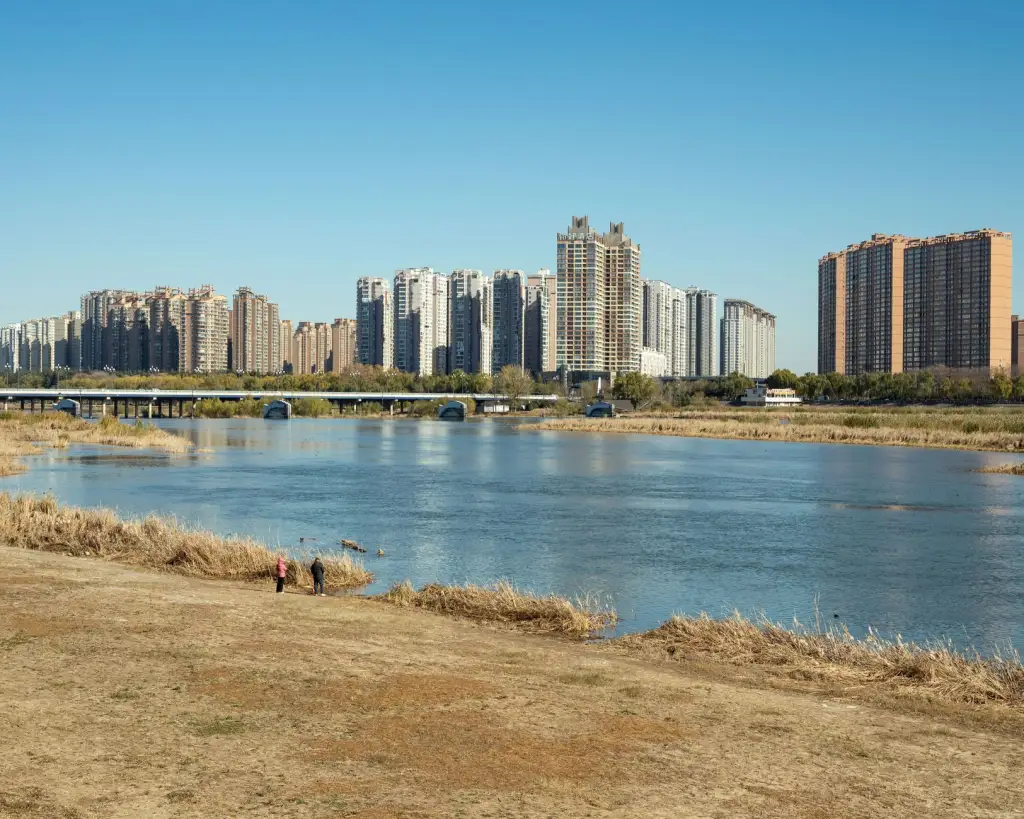 2025年实业投资项目孵化中的企业运营管理新趋势