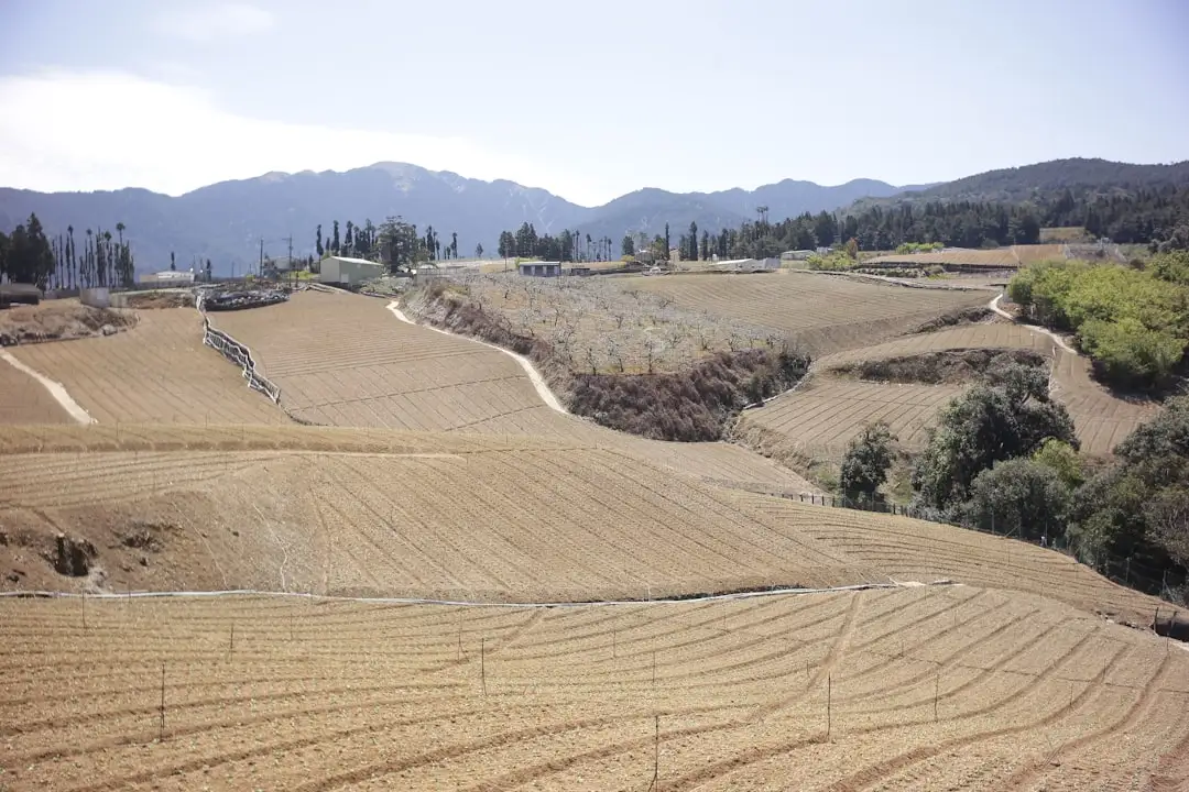 上海鑫铆实业创业项目孵化服务案例与运营管理实践